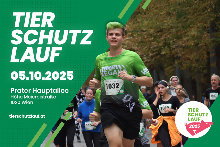 Eventbild